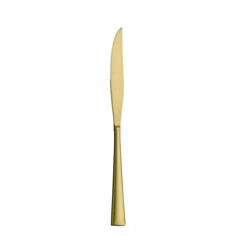 Steak knife - ACCENT - 59.0053.9179 Product Image